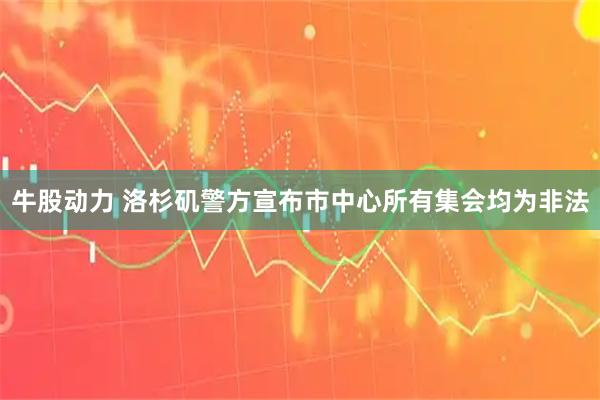 牛股动力 洛杉矶警方宣布市中心所有集会均为非法