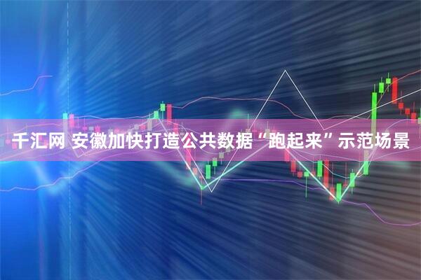 千汇网 安徽加快打造公共数据“跑起来”示范场景