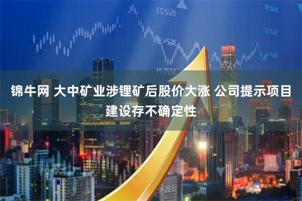 锦牛网 大中矿业涉锂矿后股价大涨 公司提示项目建设存不确定性